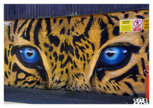 Cheetah Animal Portrait SYKE Graffiti Art Dundee Scotland